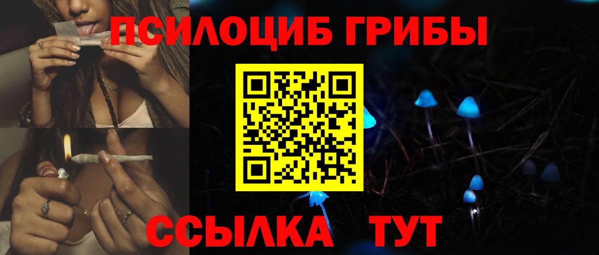 Лосино-Петровский  Псилоцибиновые грибы Magic Shrooms  Вход с VPN 